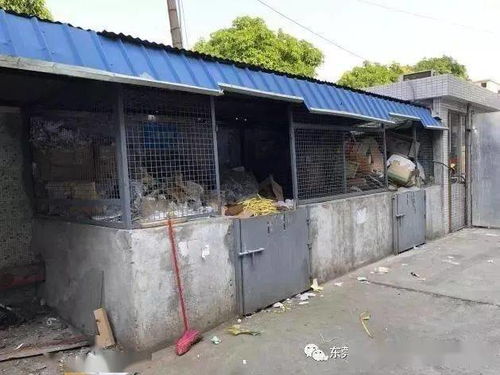 廢品站再做這類回收，就要攤上大事了！環(huán)境局提醒 一般工業(yè)固廢未按要求存放，最低罰款10萬(wàn)元，嚴(yán)重的還要拘留