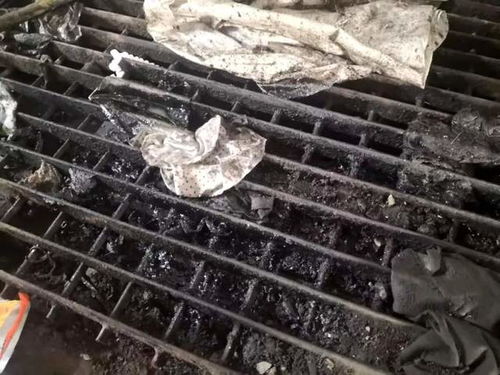 大連通報兩起典型案例 固體廢物污染治理敲響警鐘